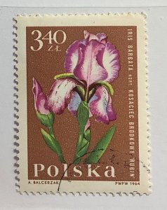 Poland 1964 Scott 1289 CTO - 3.40Zt,  Garden flowers, Iris barbata