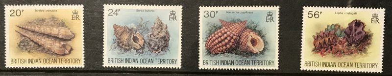 British Indian Ocean Territory #172-5, MNH set, various sea shells, issued 1996
