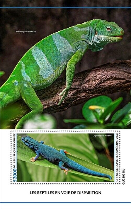Guinea - 2023 Endangered Reptiles, Gecko - Stamp Souvenir Sheet - GU230218b