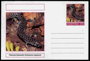 Chartonia (Fantasy) Amphibians - Flatwoods Salamander (Am...