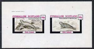 Eynhallow 1982 Animals #09 (Grey Seal & Marbled Seal)...