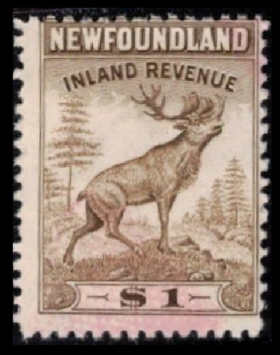 NEWFOUNDLAND 1942 VINTAGE $1. BROWN #NFR40 USED PERF 12 VERY SCARCE REVENUE