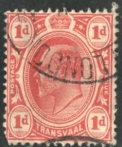 TRANSVAAL #282 - USED - 1905 - TRANS029