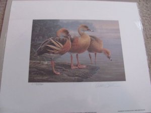 AU1 Australia 1st of National  Duck Numbered A/S  Print. With Stamp   #02 AU1
