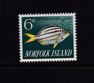 1962 Norfolk Island Fish 6d HM SG43