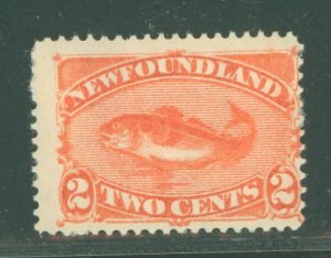 Newfoundland #48 Unused Single