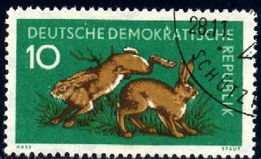 Hares, DDR stamp SC#472 used