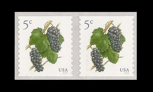 US 5038 Grapes 5c coil pair (2 stamps) MNH 2016