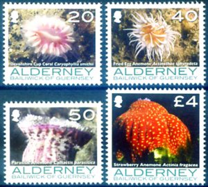 Alderney. 2007 Marine Wildlife.