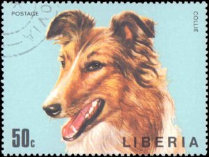 Liberia #669-674, Complete Set(6), 1974, Dogs, Used, CTO