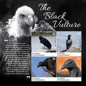 Saint Vincent 2019 - Black Vulture Bird - Sheet of 4 stamps - MNH