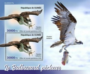 Guinea Birds of Prey on Stamps 2020 MNH Osprey Fish Hawks Raptors 2v S/S + IMPF