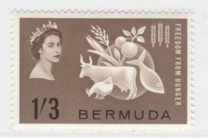 BERMUDA Freedom from Hunger 1/3s MH* Stamp A27P51F25702