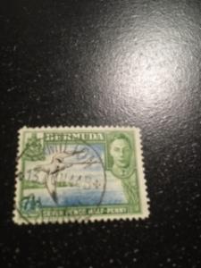 Bermuda sc 121 d u