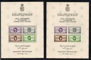 Egypt - Sc# B6a & B6b MNH (cpl dry spots on 6b) - S/S   -    Lot 0424133