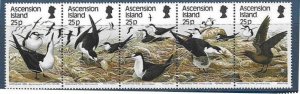 ASCENSION SG469a 1988 SEA BIRDS MNH