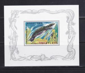 Belgium B783 MNH Reptile, Turtle