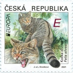 Stamps Czech 2021 - EUROPA : Endangered national wild beasts - wild cat