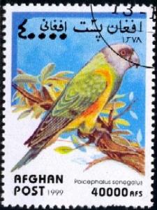 Bird, Parrot, Afghanistan stamp used 