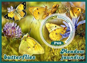 Republic of Botswana stamps 2020. - Set of insect butterflies from 8 blocks MNH