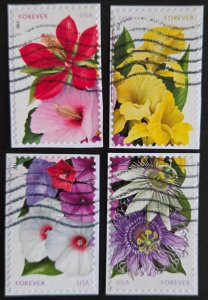 US 4750-4753 (2013 La Florida)