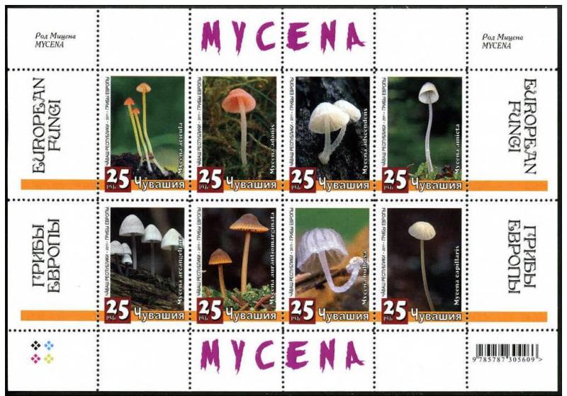 RUSSIA LOCAL SHEET MUSHROOMS