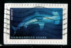 5226 US (49c) Hammerhead Shark SA, used on paper