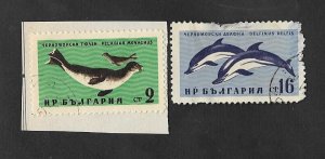 SE)1961 BULGARIA, BLACK SEA WILDLIFE, MEDITERRANEAN MONK SEAL & DOLPHINS, USED