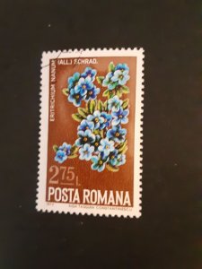 +Romania #2517        CTO