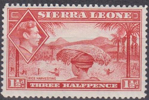 Sierra Leone #175 F-VF Unused CV $12.50 (B5937)