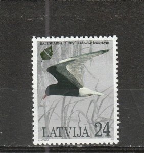 Latvia  Scott#  398  MNH  (1995 White-Winged Tern)