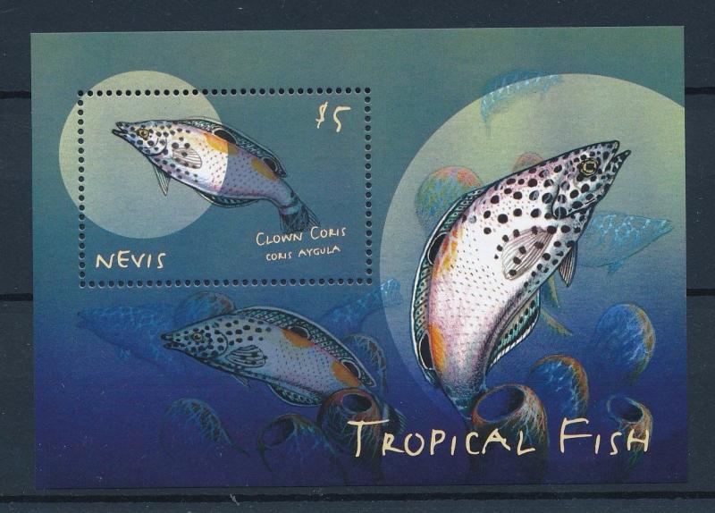 [34991] Nevis 2000 Marine Life Fish MNH Sheet