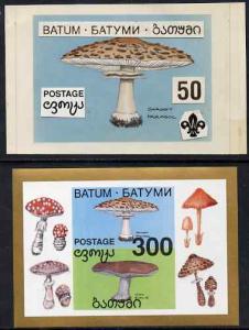 Batum 1994 Fungi - Shaggy Parasol with Scout emblem, orig...