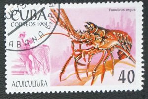 CUBA Sc# 3575 MARINE LIFE fish ocean sea 40c 1994  used / cto