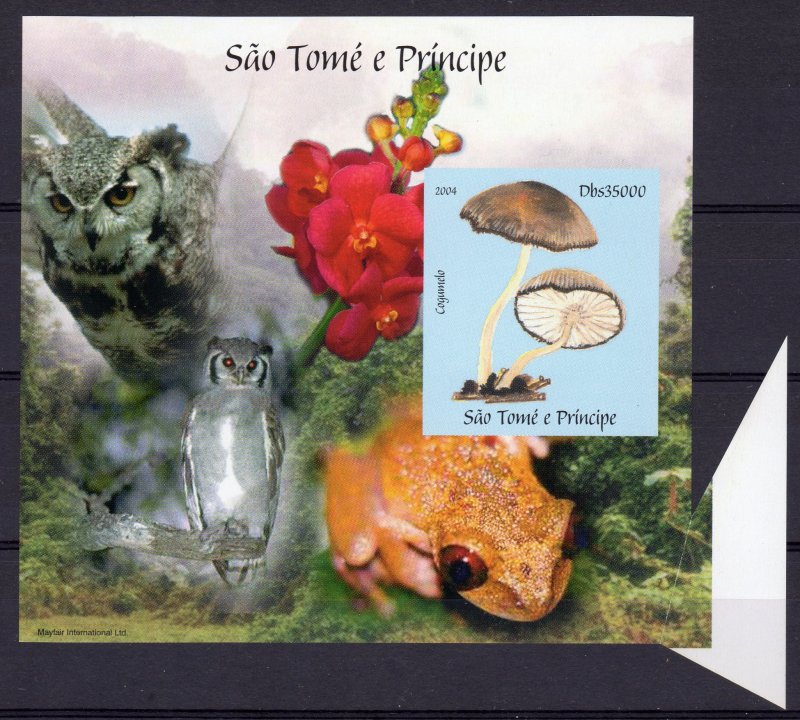 Sao Tome and Principe  2004 Mushrooms-Owls-Frogs S/S IMPERF.MAJOR ERROR MNH