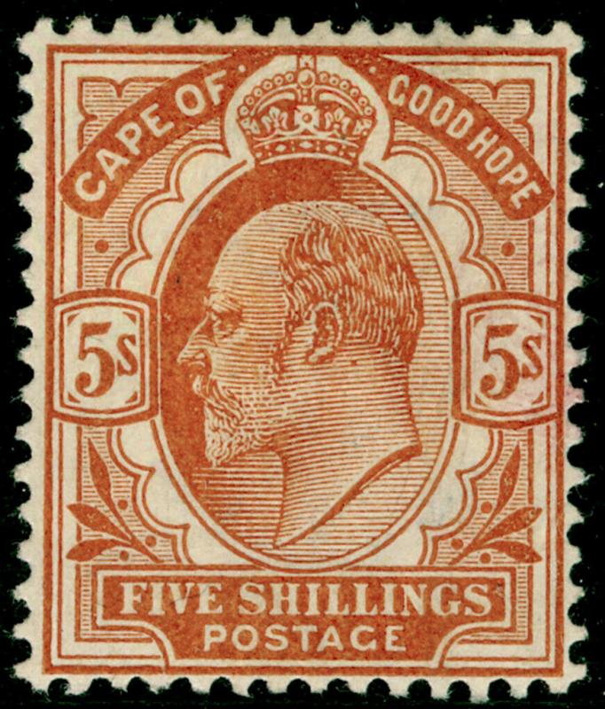 SOUTH AFRICA - Cape of Good Hope SG78, 5s brown-orange, M MINT. Cat £160.