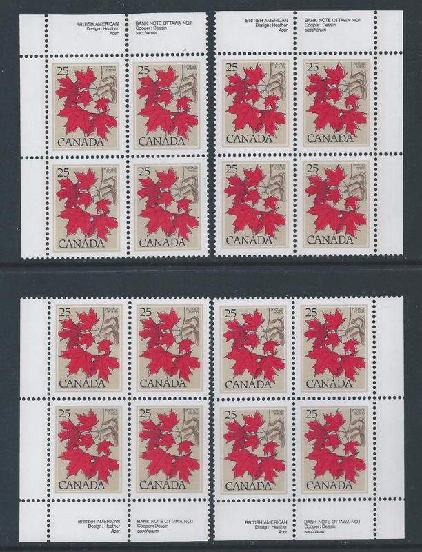 Canada #719 PL BL MS Sugar Maple 25