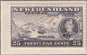 Newfoundland 242 - Unused, Never Hinged