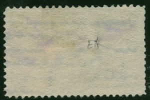 #293 F-VF  1898 MISS RIVER BRIDGE $2 TRANS-MISS EXPOSITION  ⭐⭐⭐⭐⭐