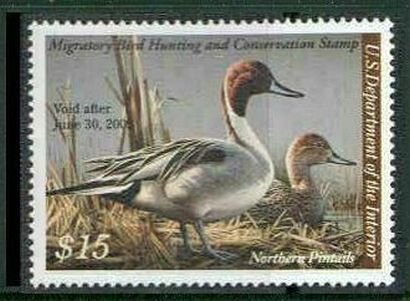 US Stamp #RW75 - Pair of Northern Pintail Ducks on a Nest, Press Sheet Single