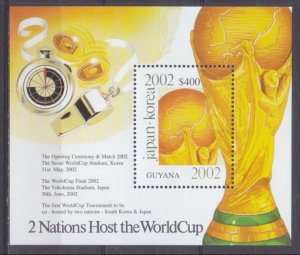 2002 Guyana 7400/B7335 2002 FIFA World Cup in Japan and Korea 7,00 €