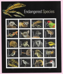 US #5799 (63c) Endangered Species ~ MNH