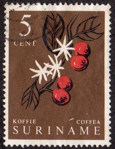 Suriname 285 - Used - 5c Coffee (1961)