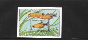 FISH - SIERRA LEONE #963  MNH