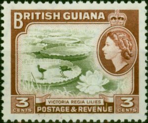 British Guiana 1965 3c Brown-Olive & Red-Brown SG354 V.F MNH 