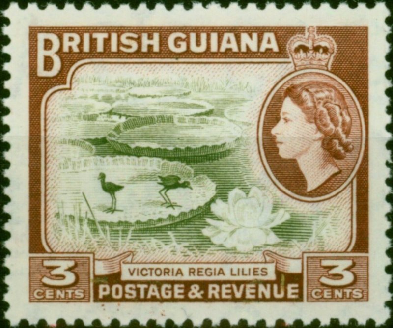 British Guiana 1965 3c Brown-Olive & Red-Brown SG354 V.F MNH