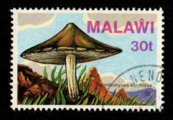 Malawi #460 used
