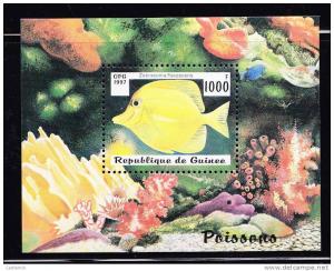  T)1997,GUINEA,S/SHEET,FISH,MNH,PERF.12 