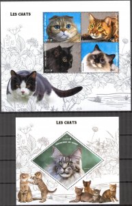 Congo 2019 Animals Domestic Cats 2 S/S MNH