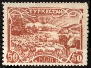 1924 Turkestan Cinderella (Non Issued Stamp) 50 Kopecks Camel Rider Imperforate